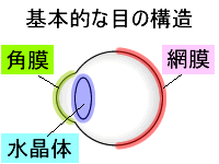 IȖڂ̍\