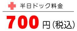 hbN 700~